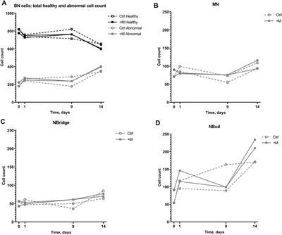 Biopharmaceutical-Type Chinese Hamster Ovary Cell Cultivation Under Static Magnetic Field Exposure: A Study of Genotoxic Effect